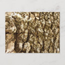 Search for textures postcards Nature