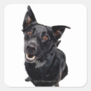 Search for mix it up stickers Colour image