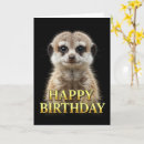 Search for meerkat birthday cards Animal