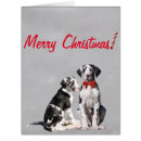 Search for great dane christmas cards Danes