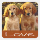 Search for brown dogs stickers Puppies