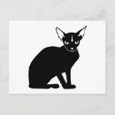 Search for evil kitty Satan