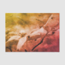 Search for black and white tissue paper Distressed