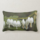 Search for dicentra Hearts