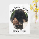 Search for dog bones cards Funny