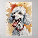 Search for poodles art Canine