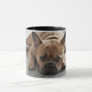 Search for your images here mugs Modern