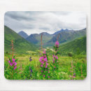 Search for sheila mousepads Danita delimont