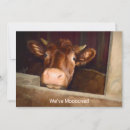 Search for cow moving announcement cards Rustic