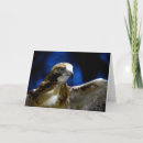 Search for flying eagle photography Digital