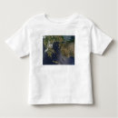 Search for turkey toddler tshirts View from space