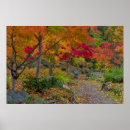 Search for leads posters Autumn