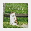 Search for rescues magnets Girl