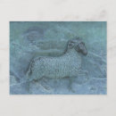 Search for flock of sheep postcards Wool