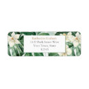Search for cheese return address labels Swiss cheese plant