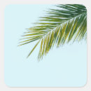 Search for tropical summer stickers Sky