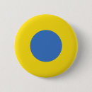 Search for air force badges Ukraine