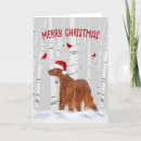 Search for birch trees christmas cards Snow