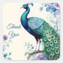 Search for peacock thank you stickers Peacocks