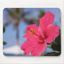 Search for away from mousepads Vacations