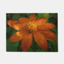 Search for mexican doormats Nature