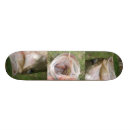 Search for large skateboards Nature