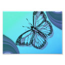 Search for butterfly silhouette art Nature