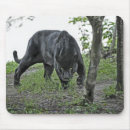 Search for black jaguar mousepads Panther