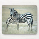 Search for african animals mousepads Outdoors