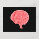 Search for neurological postcards Neuroanatomy