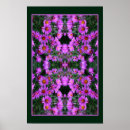 Search for aster posters Flower