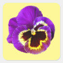 Search for purple pansy stickers Petals