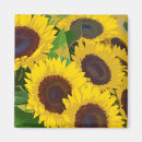 Search for blossom square magnets Yellow