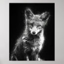 Search for black and white fox posters Wildlife