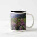 Search for rugged mugs Scenic