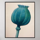 Search for opium art Morphine