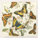 Search for insect coasters Wings