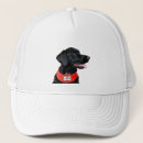 Search for black labrador hats Pet