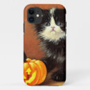 Search for white kitten iphone cases Cute