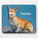Search for welsh corgi mousepads Puppies