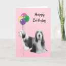 Search for bearded collie cards Animal