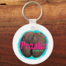 Search for coconut key rings Retro