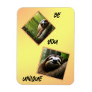 Search for sloth magnets Wildlife