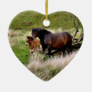 Search for horse christmas tree decorations Foal