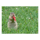 Search for chipmunks art Rodent
