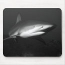 Search for shark mousepads Nature
