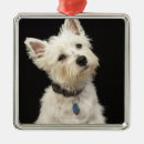 Search for westie christmas tree decorations West highland terrier