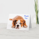 Search for bulldog thank you cards Puppies