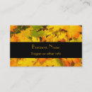 Search for fall maple leaves Leaf