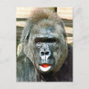 Search for funny gorilla postcards Cute